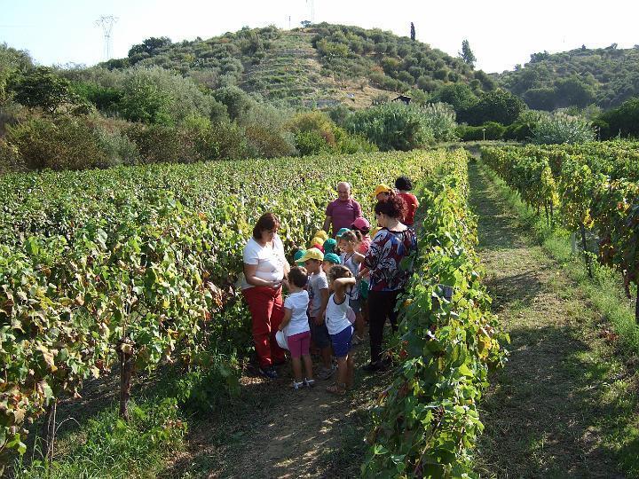 Agriturismo Parra Santa Lucia del Mela Exteriér fotografie