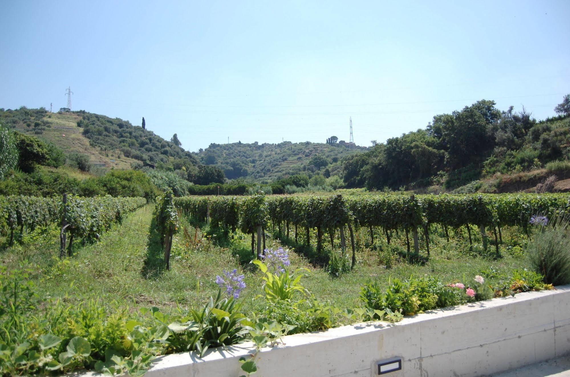 Agriturismo Parra Santa Lucia del Mela Exteriér fotografie